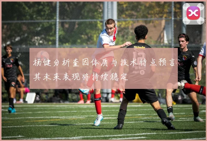 杨健分析奎因体质与技术特点预言其未来表现将持续稳定