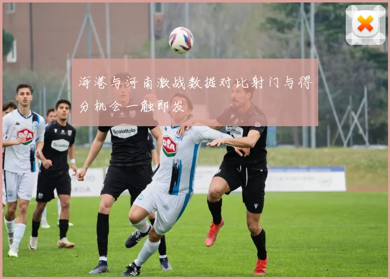 海港与河南激战数据对比射门与得分机会一触即发
