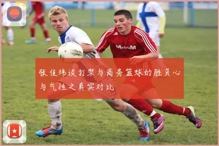 张佳玮谈打架与商务篮球的胜负心与气性之真实对比