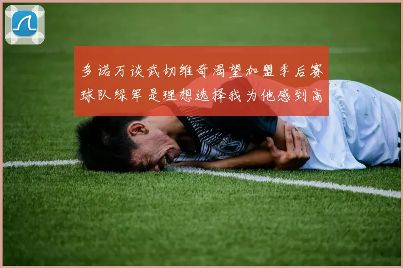 多诺万谈武切维奇渴望加盟季后赛球队绿军是理想选择我为他感到高兴