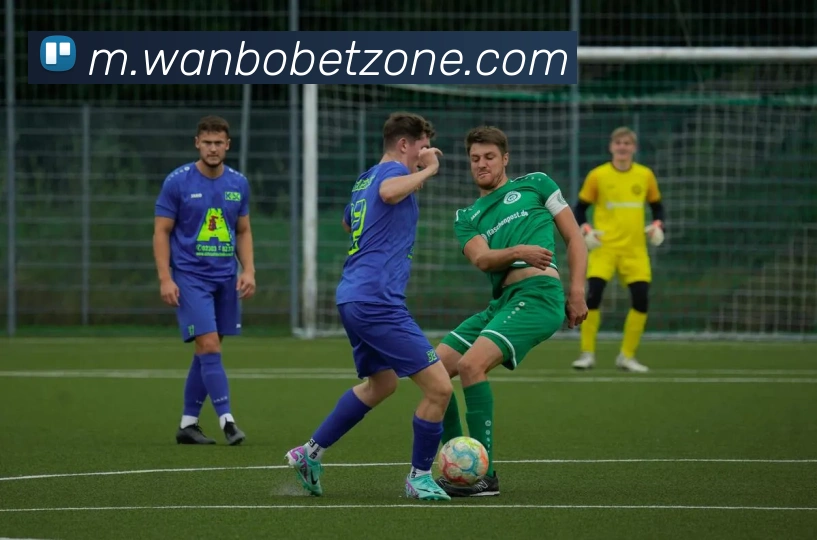 万博体育平台生态图