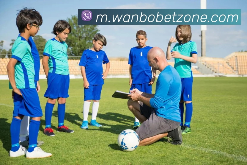 万博体育APP 封面图